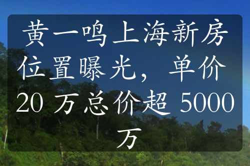 黄一鸣上海新房位置曝光，单价 20 万总价超 5000 万