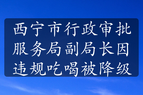 西宁市行政审批服务局副局长因违规吃喝被降级