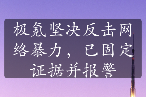 极氪坚决反击网络暴力，已固定证据并报警