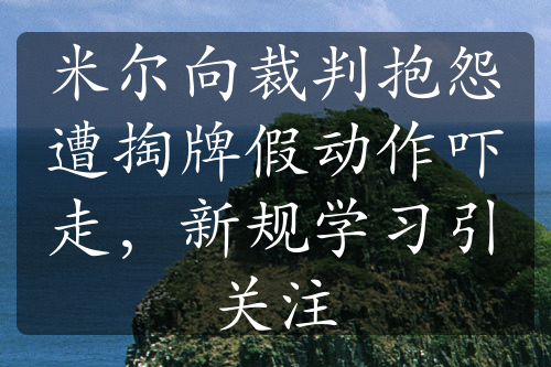 米尔向裁判抱怨遭掏牌假动作吓走，新规学习引关注