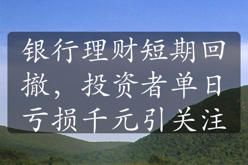 银行理财短期回撤，投资者单日亏损千元引关注