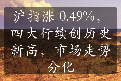 沪指涨 0.49%，四大行续创历史新高，市场走势分化