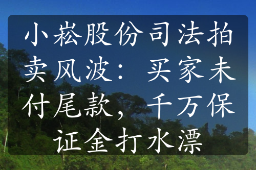 小崧股份司法拍卖风波：买家未付尾款，千万保证金打水漂