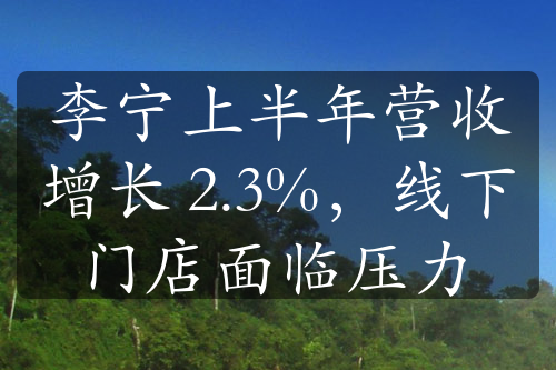 李宁上半年营收增长 2.3%，线下门店面临压力