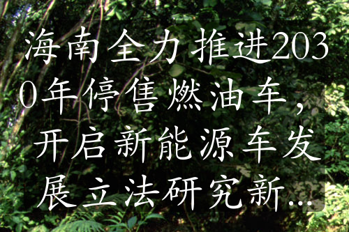 海南全力推进2030年停售燃油车，开启新能源车发展立法研究新征程