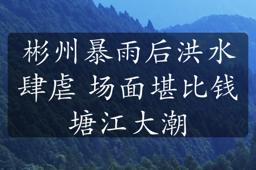 彬州暴雨后洪水肆虐 场面堪比钱塘江大潮