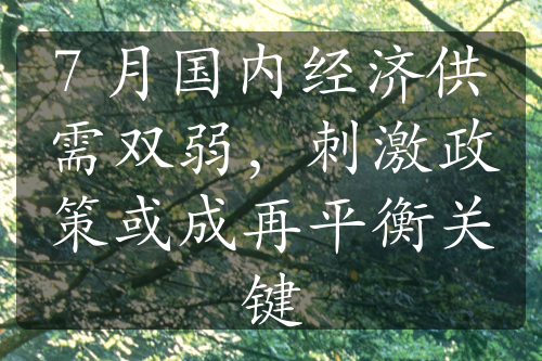 7 月国内经济供需双弱，刺激政策或成再平衡关键