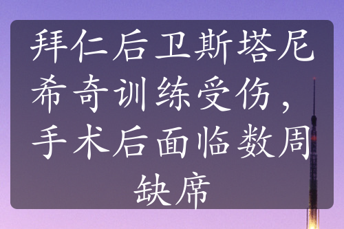 拜仁后卫斯塔尼希奇训练受伤，手术后面临数周缺席