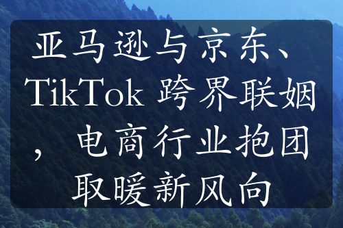 亚马逊与京东、TikTok 跨界联姻，电商行业抱团取暖新风向