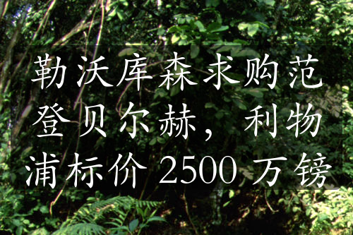 勒沃库森求购范登贝尔赫，利物浦标价 2500 万镑