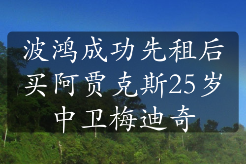 波鸿成功先租后买阿贾克斯25岁中卫梅迪奇