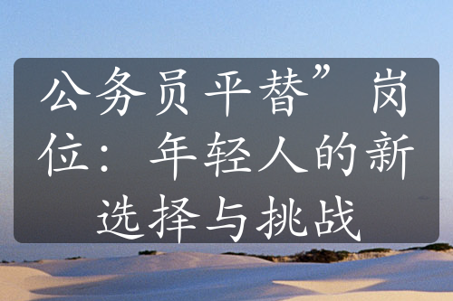 公务员平替”岗位：年轻人的新选择与挑战