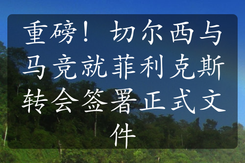 重磅！切尔西与马竞就菲利克斯转会签署正式文件