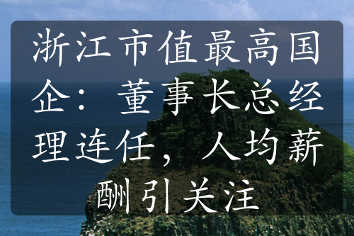 浙江市值最高国企：董事长总经理连任，人均薪酬引关注