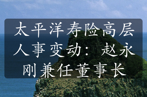 太平洋寿险高层人事变动：赵永刚兼任董事长