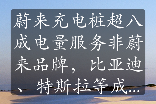 蔚来充电桩超八成电量服务非蔚来品牌，比亚迪、特斯拉等成主要用户