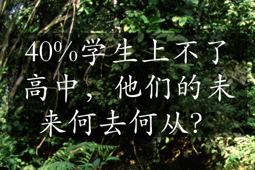 40%学生上不了高中，他们的未来何去何从？