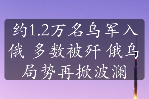 约1.2万名乌军入俄 多数被歼 俄乌局势再掀波澜