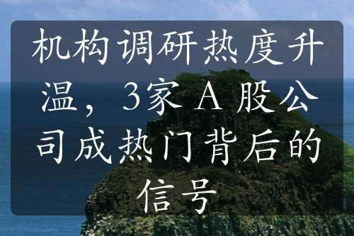 机构调研热度升温，3家 A 股公司成热门背后的信号