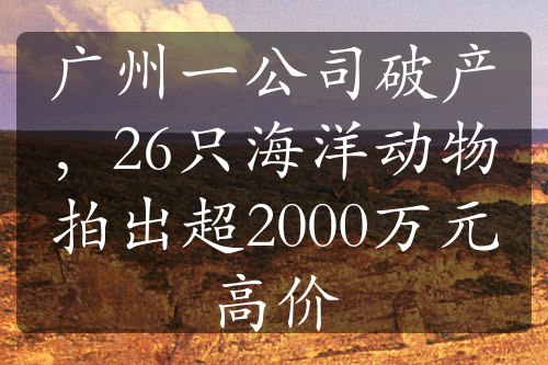 广州一公司破产，26只海洋动物拍出超2000万元高价