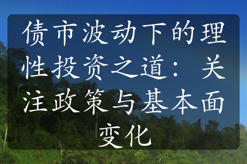 债市波动下的理性投资之道：关注政策与基本面变化