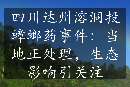 四川达州溶洞投蟑螂药事件：当地正处理，生态影响引关注