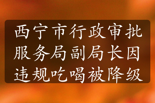 西宁市行政审批服务局副局长因违规吃喝被降级