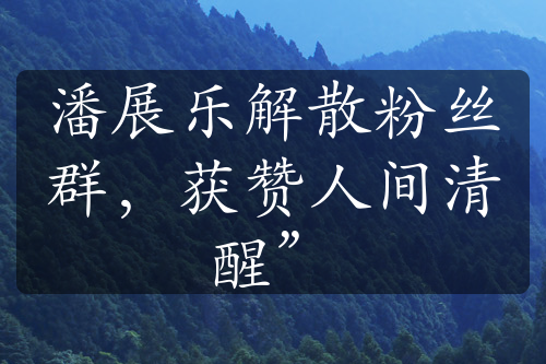 潘展乐解散粉丝群，获赞人间清醒”