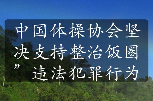 中国体操协会坚决支持整治饭圈”违法犯罪行为