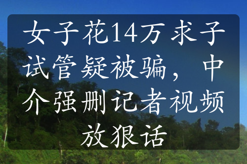 女子花14万求子试管疑被骗，中介强删记者视频放狠话