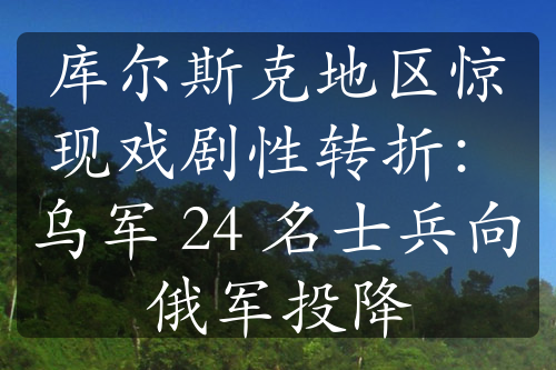 库尔斯克地区惊现戏剧性转折：乌军 24 名士兵向俄军投降