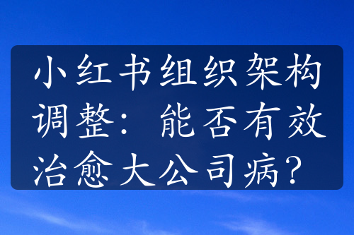 小红书组织架构调整：能否有效治愈大公司病？