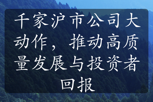 千家沪市公司大动作，推动高质量发展与投资者回报