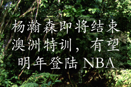 杨瀚森即将结束澳洲特训，有望明年登陆 NBA