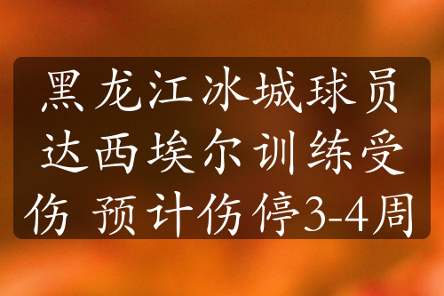 黑龙江冰城球员达西埃尔训练受伤 预计伤停3-4周